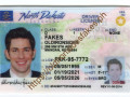 North Dakota Driver License(ND O21) - thumbnail