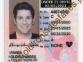 Texas Driver License(New TX U21 2020) - thumbnail