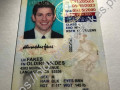 California  Driver License(New CA U21) - thumbnail