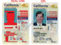 California  Driver License(New CA U21) - thumbnail